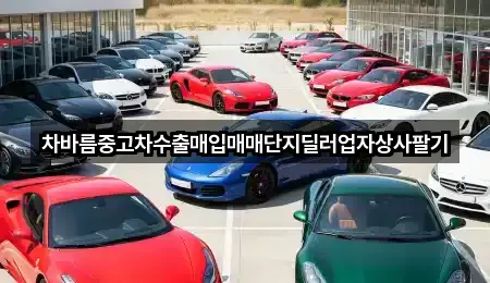 즉시 안내: 서울 충정로1가 중고차 4곳