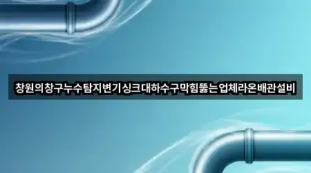 창원의창구누수탐지변기싱크대하수구막힘뚫는업체라온배관설비