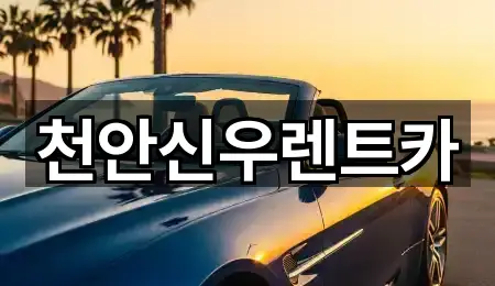 천안신우렌트카