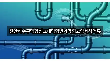 천안하수구막힘싱크대막힘변기막힘고압세척역류