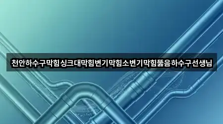 천안하수구막힘싱크대막힘변기막힘소변기막힘뚫음하수구선생님