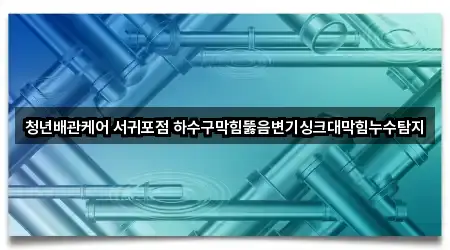 청년배관케어 서귀포점 하수구막힘뚫음변기싱크대막힘누수탐지