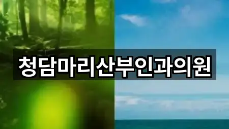 5곳 청담동 산부인과 리스트