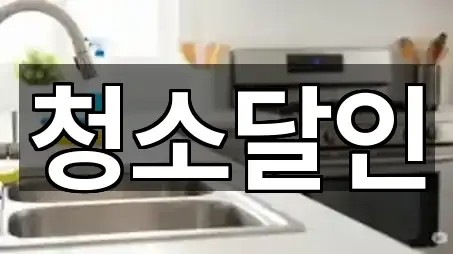 전남 생목동 청소 신규/인기 5곳