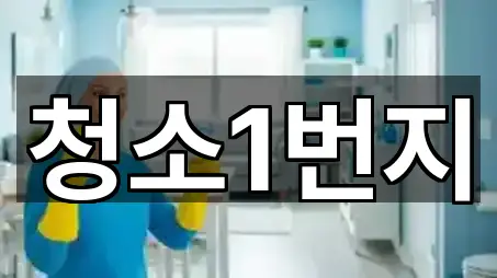 청소1번지
