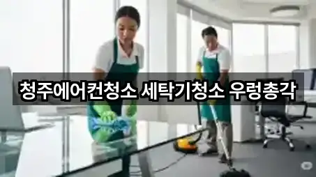 청주에어컨청소 세탁기청소 우렁총각