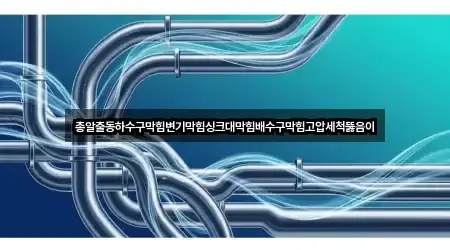 총알출동하수구막힘변기막힘싱크대막힘배수구막힘고압세척뚫음이