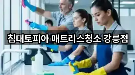 침대토피아 매트리스청소 강릉점