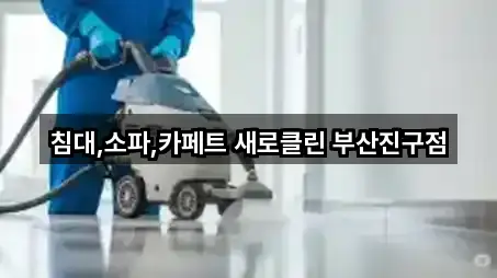 침대,소파,카페트 새로클린 부산진구점