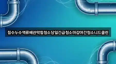 침수누수역류배관막힘청소당일긴급청소마감야간청소니드클린
