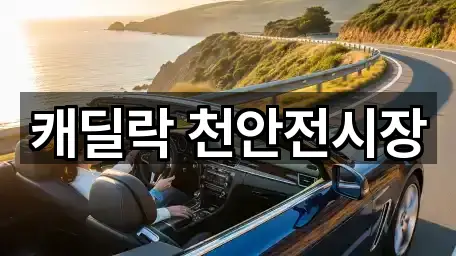초간편 조회: 문화동 자동차전시장 2곳
