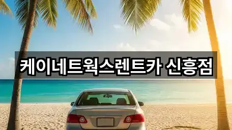 케이네트웍스렌트카 신흥점