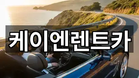 서초구 염곡동 렌트카 5곳 인근 위치