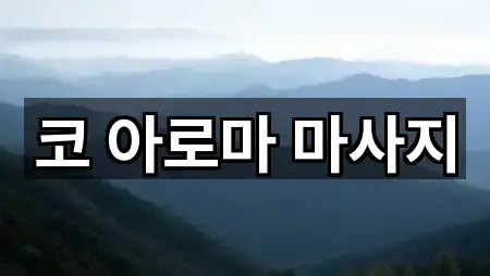 목포 영해동2가 에스테틱 지금 보기 5곳