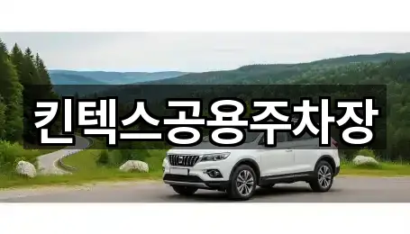 킨텍스공용주차장