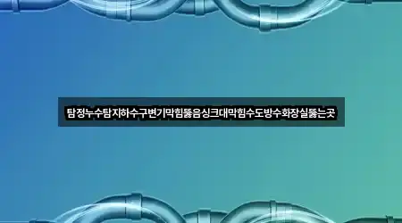 탐정누수탐지하수구변기막힘뚫음싱크대막힘수도방수화장실뚫는곳