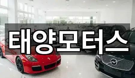 즉시 지도: 전남 목포시 용해동 중고차 5곳