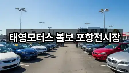 경상북도 포항 남구 대도동 자동차전시장 위치·전화 4건