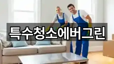 특수청소에버그린