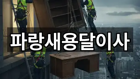 파랑새용달이사