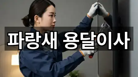 파랑새 용달이사