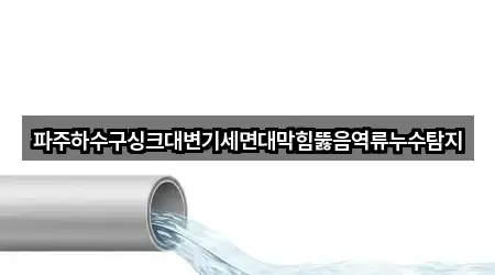 파주하수구싱크대변기세면대막힘뚫음역류누수탐지