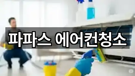 파파스 에어컨청소