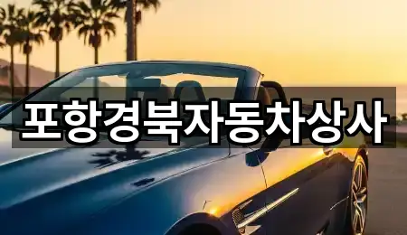 경북 포항 북구 흥해읍 중고차 위치/주소 한 번에 5건