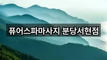 경기 서현동 에스테틱 즉시 찾기 5곳