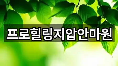 프로힐링지압안마원