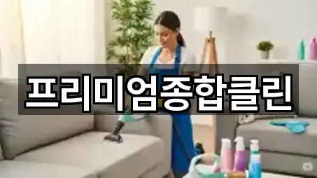 프리미엄종합클린