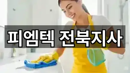 전북 마동 청소업체 5곳 주소 열람