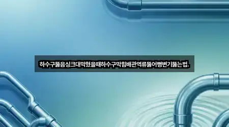 하수구뚫음싱크대막혔을때하수구막힘배관역류뚫어뻥변기뚫는법.