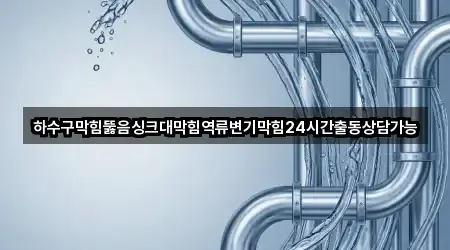 하수구막힘뚫음싱크대막힘역류변기막힘24시간출동상담가능