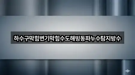 하수구막힘변기막힘수도해빙동파누수탐지방수