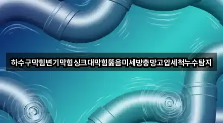 하수구막힘변기막힘싱크대막힘뚫음미세방충망고압세척누수탐지