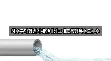 브리핑 | 전북 고창군 고창읍 하수구막힘 5곳