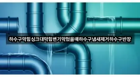 하수구막힘싱크대막힘변기막혔을때하수구냄새제거하수구반장