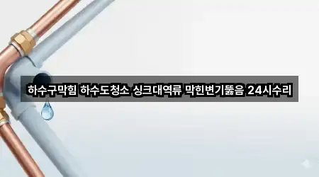 하수구막힘 하수도청소 싱크대역류 막힌변기뚫음 24시수리