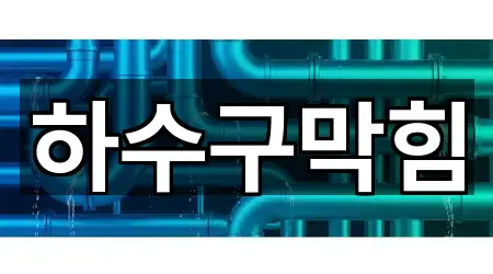 성남 분당구 분당동 하수구막힘 2곳 지도 모음