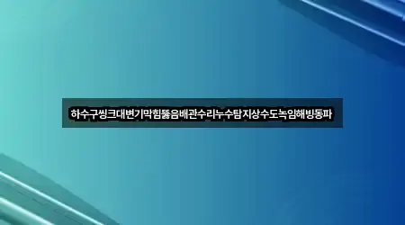 하수구씽크대변기막힘뚫음배관수리누수탐지상수도녹임해빙동파