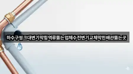 하수구씽크대변기막힘역류뚫는업체수전변기교체막힌배관뚫는곳