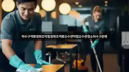 하수구역류정화조막힘정화조역류오수관막힘오수관청소하수구문제