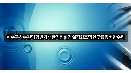지금 연락 | 경기도 고양시 일산서구 하수관 막힘 3곳