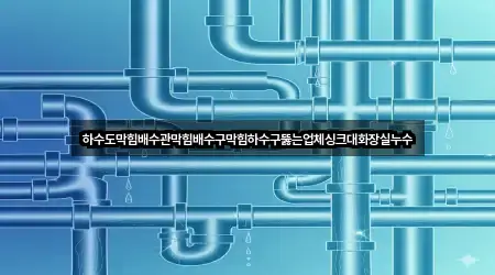 전주시 다가동1가 배수관 막힘 빠른 비교 1곳