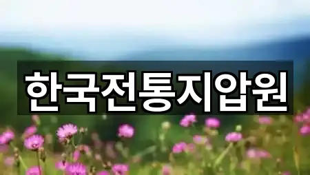 한국전통지압원