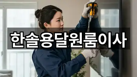 한솔용달원룸이사