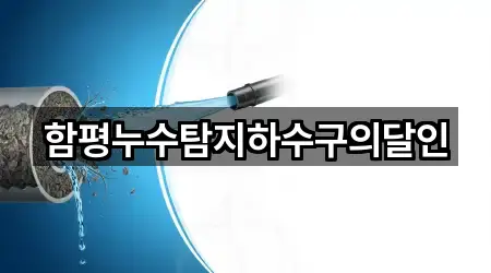 전라남도 신광면 누수탐지 5곳 주변 지도
