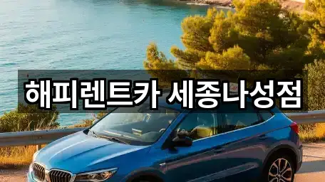 해피렌트카 세종나성점