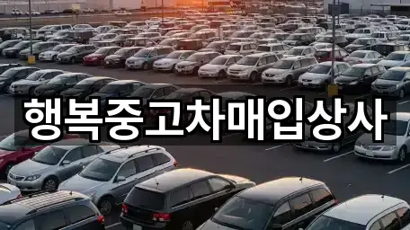 강원 속초 노학동중고차 연락하기 5곳